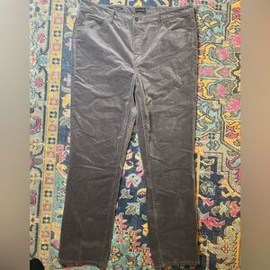 Talbots Velveteen Straight Leg Pant